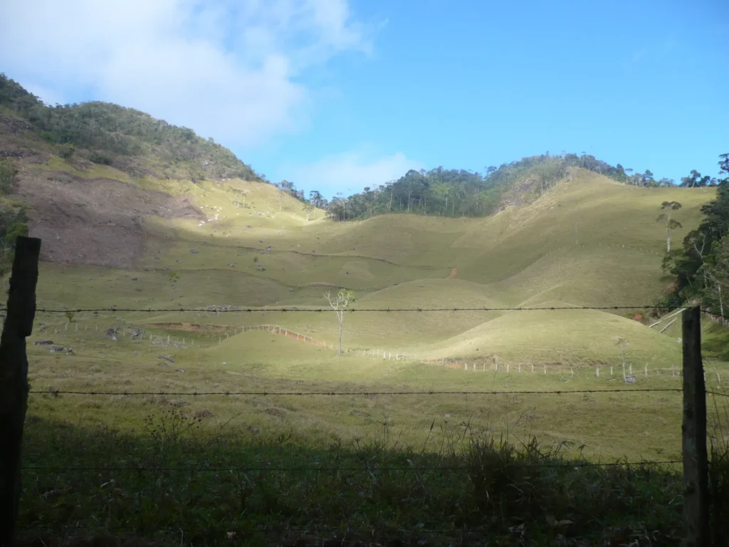 Sítio de 17 alqueires com pastagens, perto de Santo Antônio, foto 4