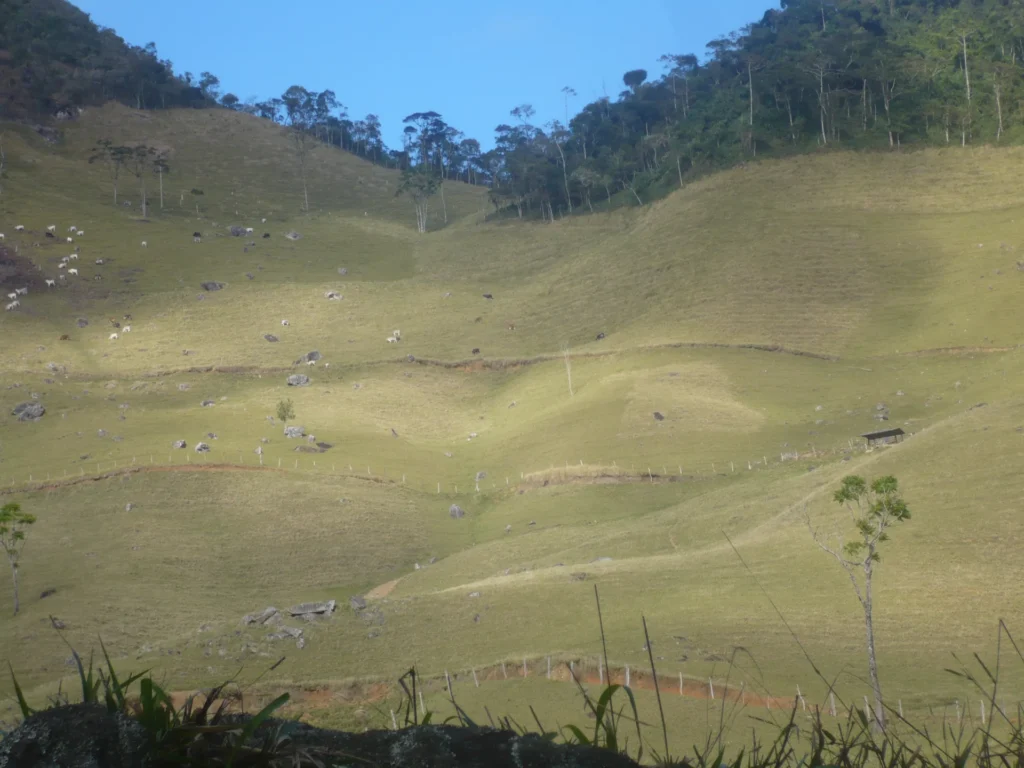 Sítio de 17 alqueires com pastagens, perto de Santo Antônio, foto 5