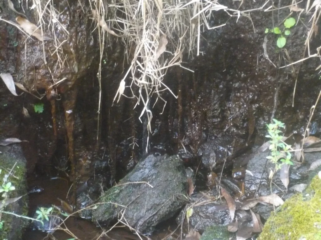 Sítio de 17 alqueires com pastagens, perto de Santo Antônio, foto 6