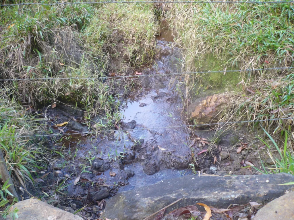 Sítio de 17 alqueires com pastagens, perto de Santo Antônio, foto 7