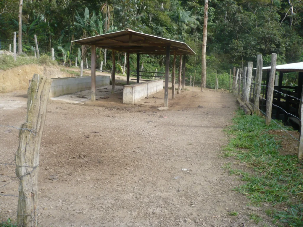 Sítio de 17 alqueires com pastagens, perto de Santo Antônio, foto 8