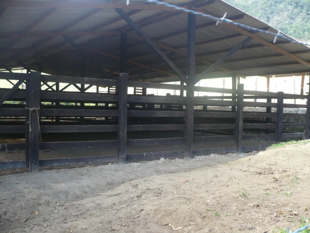 Sítio de 17 alqueires com pastagens, perto de Santo Antônio, foto 9