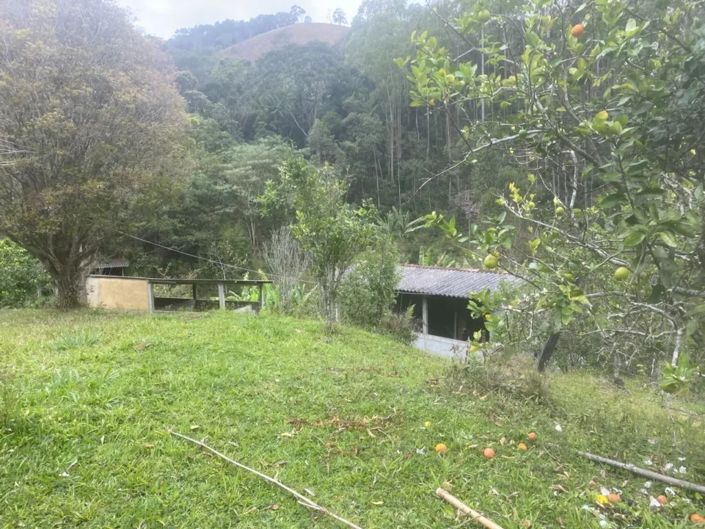 Sítio de 20.000 m² no Ribeirão do Capitão, com lago e nascente, foto 10