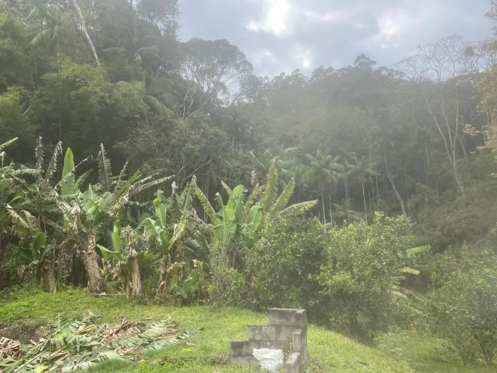Sítio de 20.000 m² no Ribeirão do Capitão, com lago e nascente, foto 12