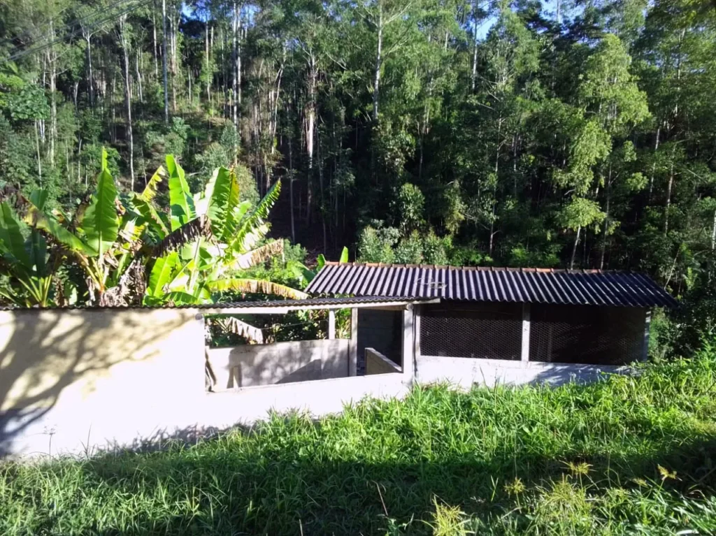 Sítio de 20.000 m² no Ribeirão do Capitão, com lago e nascente, foto 15