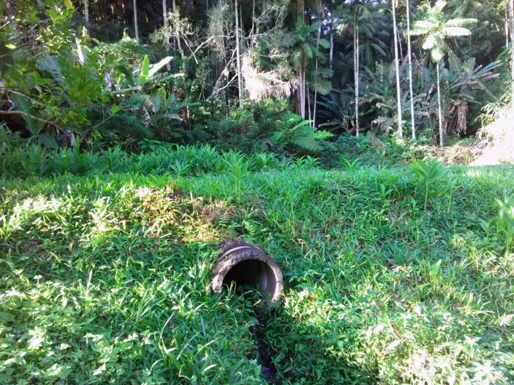 Sítio de 20.000 m² no Ribeirão do Capitão, com lago e nascente, foto 18