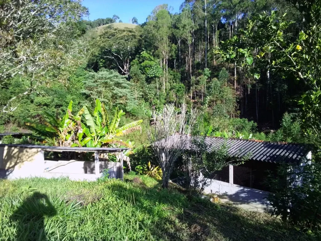 Sítio de 20.000 m² no Ribeirão do Capitão, com lago e nascente, foto 20