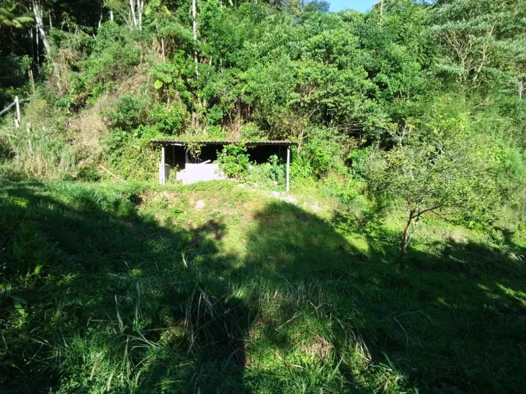 Sítio de 20.000 m² no Ribeirão do Capitão, com lago e nascente, foto 21