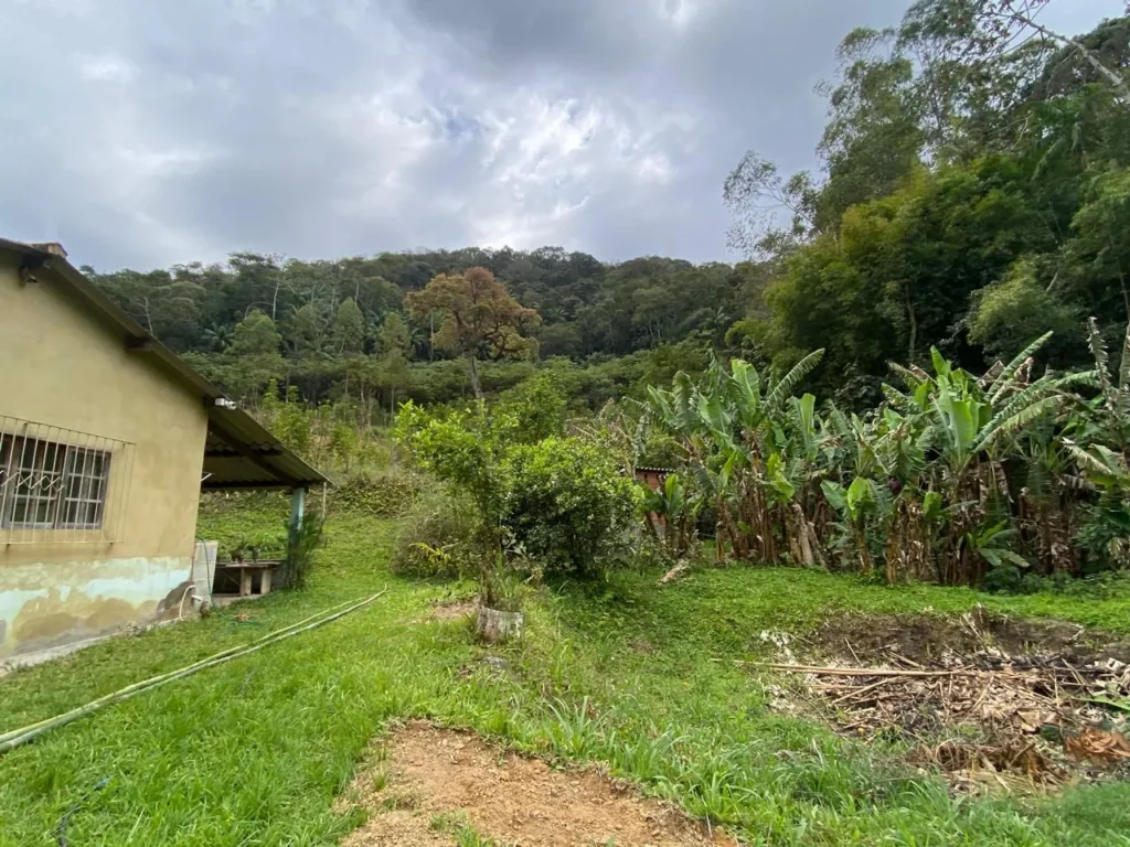 Sítio de 20.000 m² no Ribeirão do Capitão, com lago e nascente, foto 5