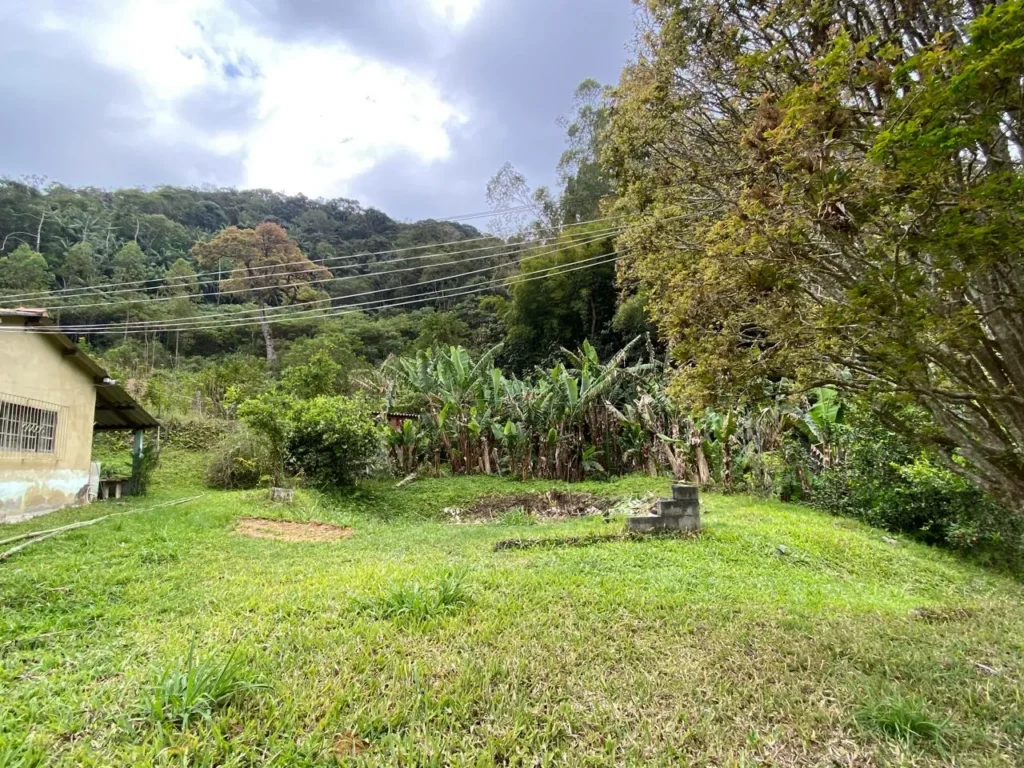 Sítio de 20.000 m² no Ribeirão do Capitão, com lago e nascente, foto 6