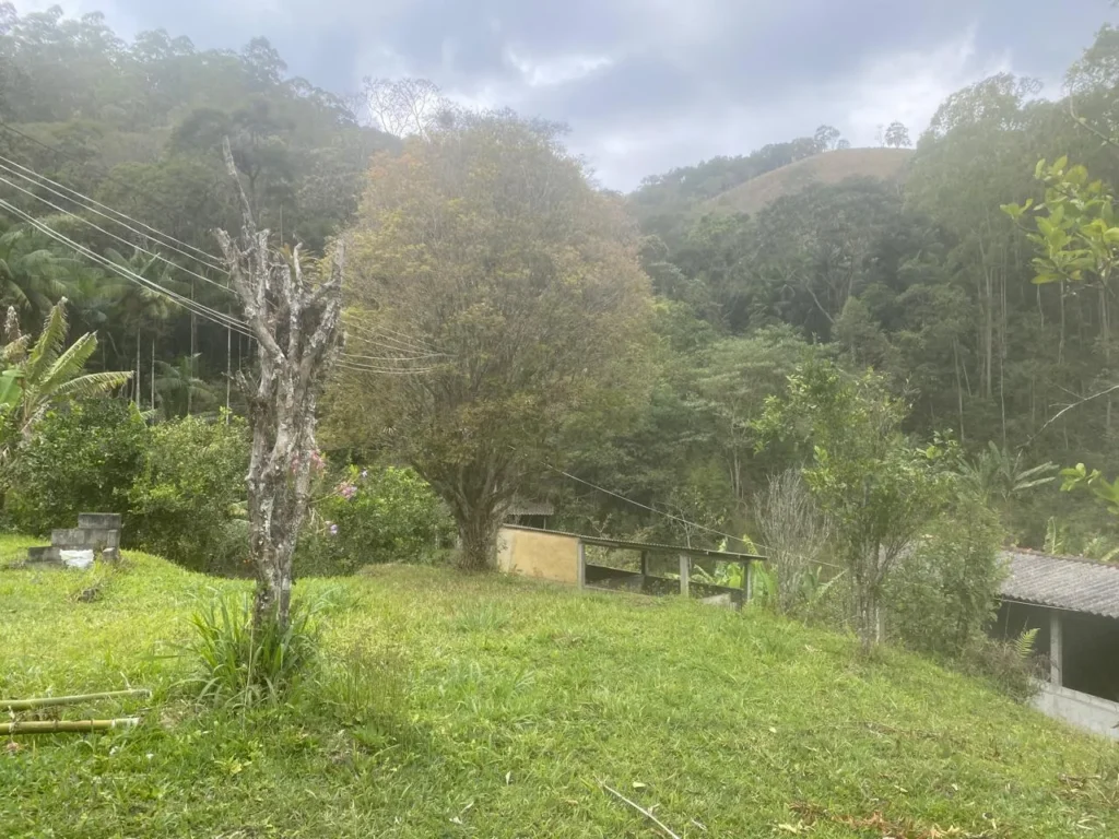 Sítio de 20.000 m² no Ribeirão do Capitão, com lago e nascente, foto 7