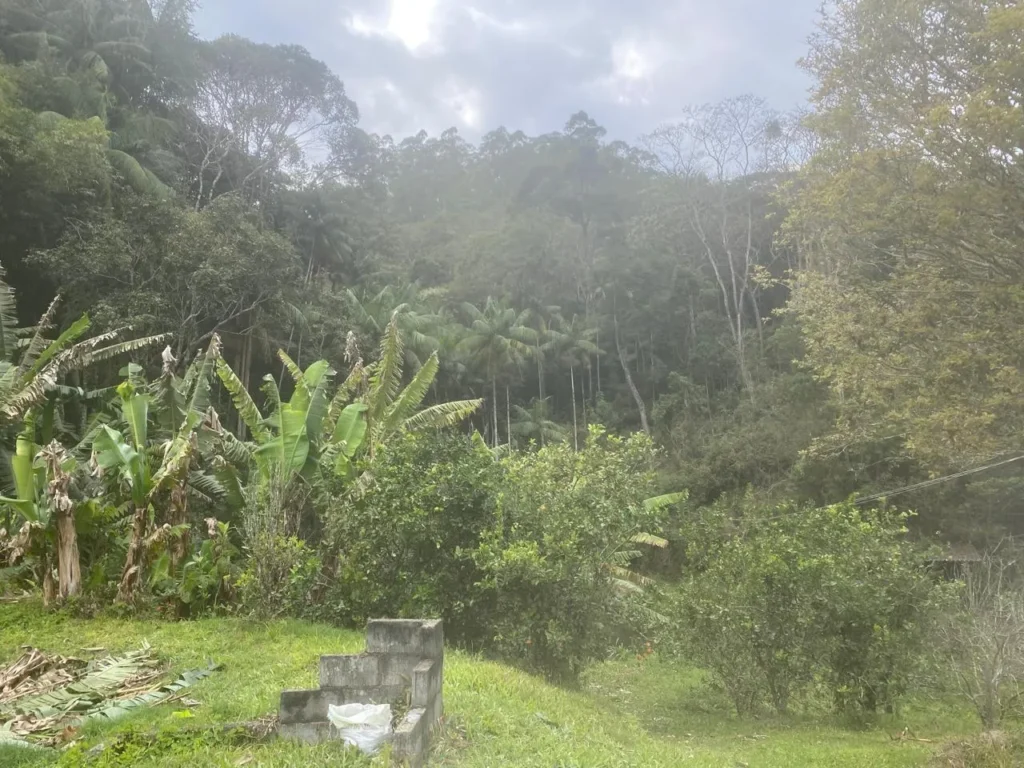 Sítio de 20.000 m² no Ribeirão do Capitão, com lago e nascente, foto 8