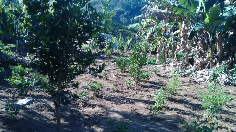 Sítio de 27.000 m² com nascente e calçamento até a entrada, foto 1
