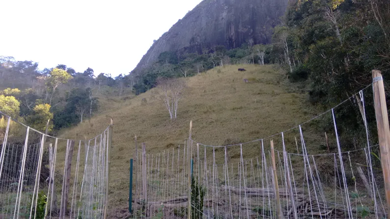 Sítio de 27.000 m² com nascente e calçamento até a entrada, foto 3