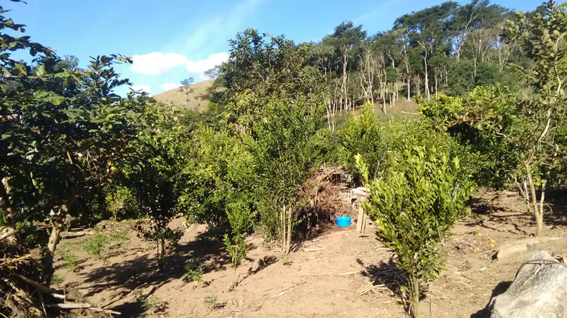 Sítio de 27.000 m² com nascente e calçamento até a entrada, foto 5