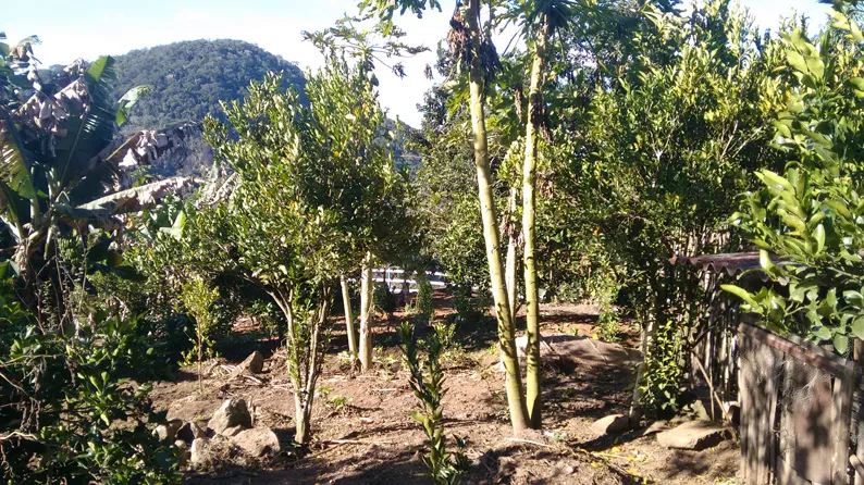 Sítio de 27.000 m² com nascente e calçamento até a entrada, foto 6
