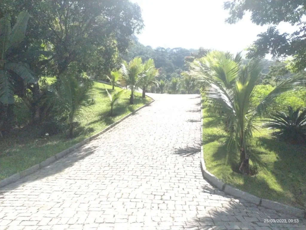 Sítio de 34.248 m² com casa nova, açude e nascente, foto 5