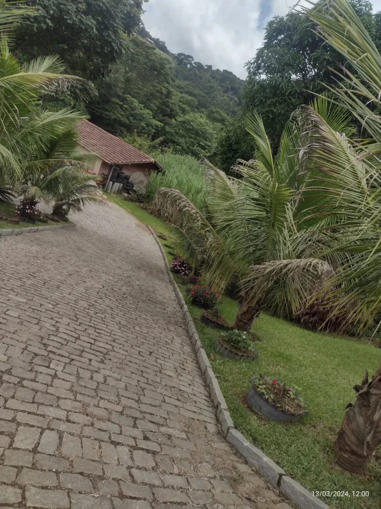 Sítio de 34.248 m² com casa nova, açude e nascente, foto 7