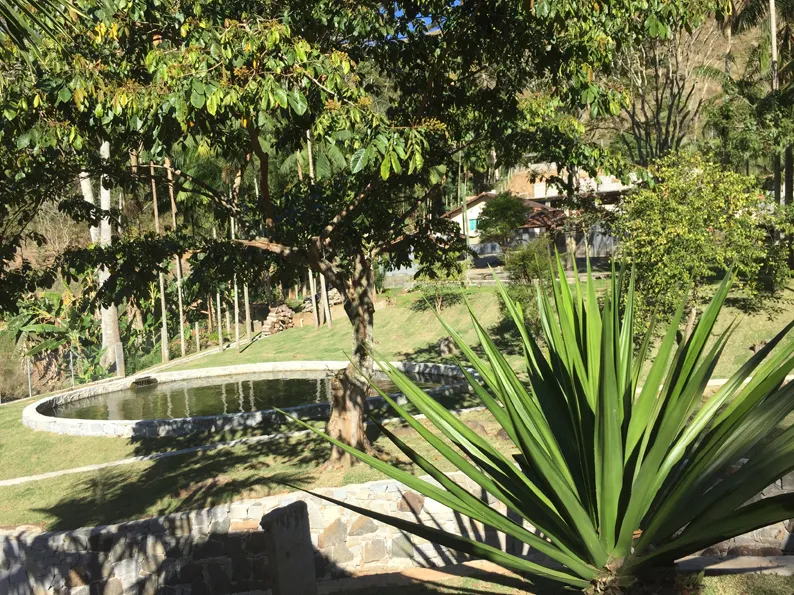 Sítio de 36.000 m² com casa sede, a 2 km do centro de Banquete, foto 12