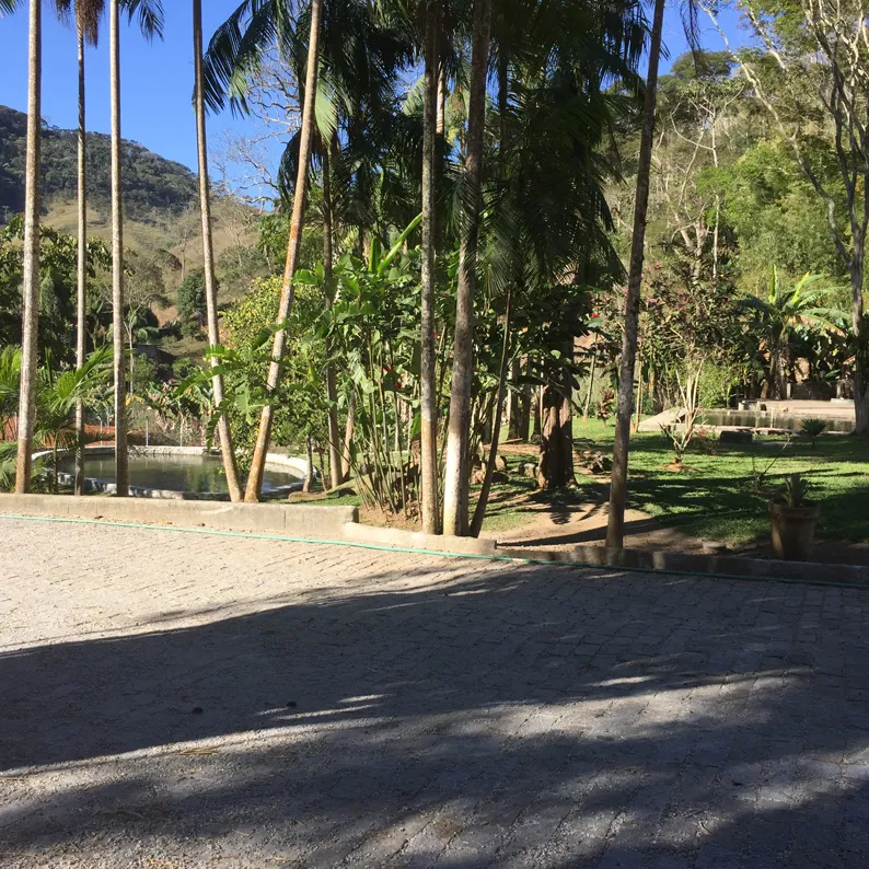 Sítio de 36.000 m² com casa sede, a 2 km do centro de Banquete, foto 8