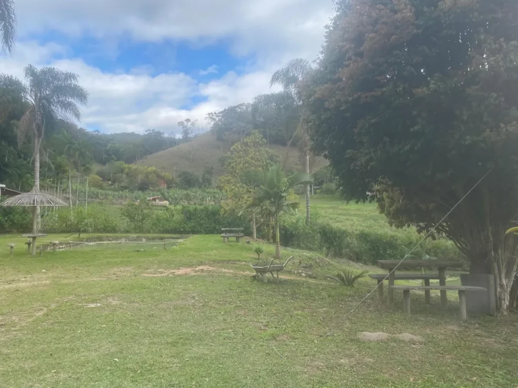 Sítio de 40.000 m² com casa nova e 2 açudes com peixes, foto 11