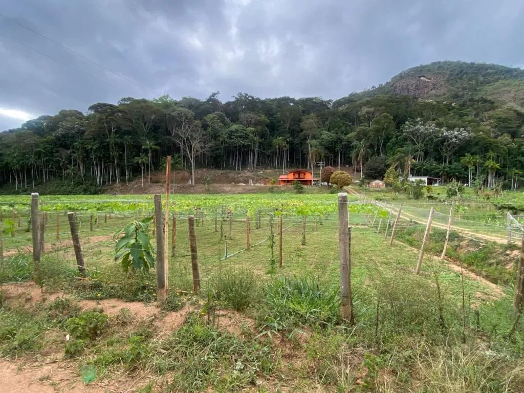 Sítio de 40.000 m² com casa nova e 2 açudes com peixes, foto 17