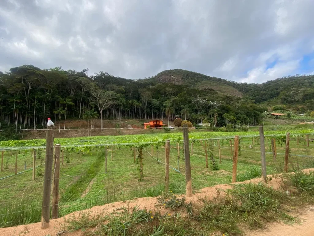Sítio de 40.000 m² com casa nova e 2 açudes com peixes, foto 2