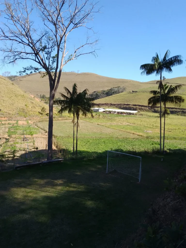 Sítio de 40.000 m² com casa nova e 2 açudes com peixes, foto 21