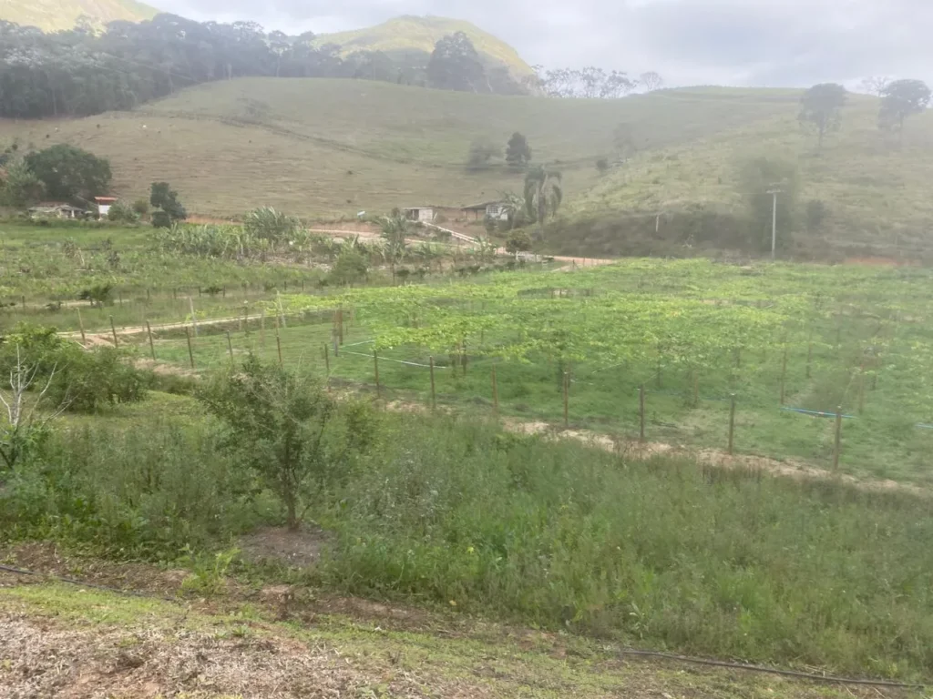 Sítio de 40.000 m² com casa nova e 2 açudes com peixes, foto 22