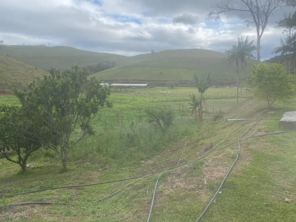Sítio de 40.000 m² com casa nova e 2 açudes com peixes, foto 24