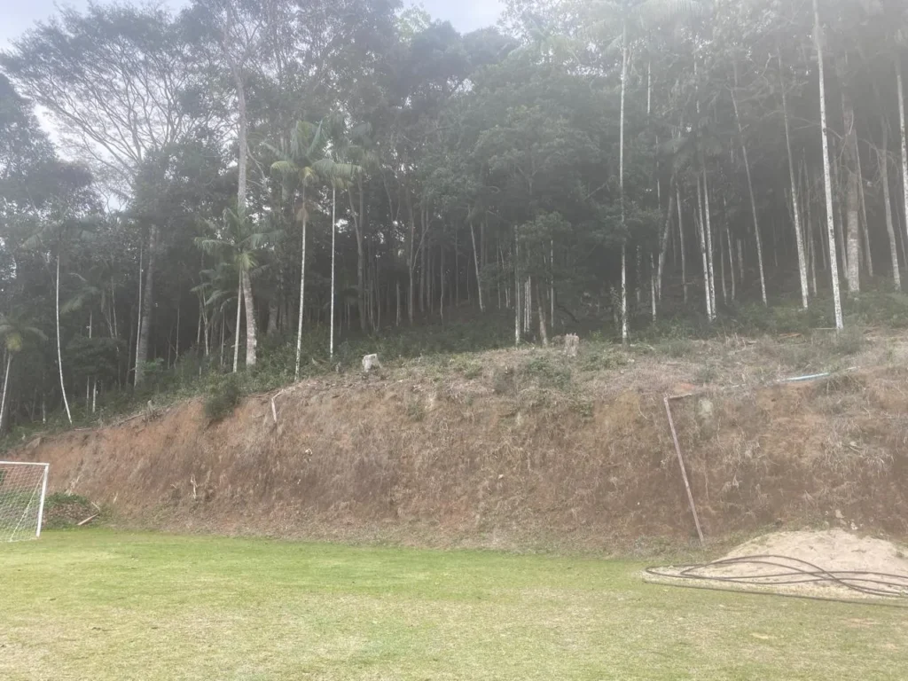 Sítio de 40.000 m² com casa nova e 2 açudes com peixes, foto 26
