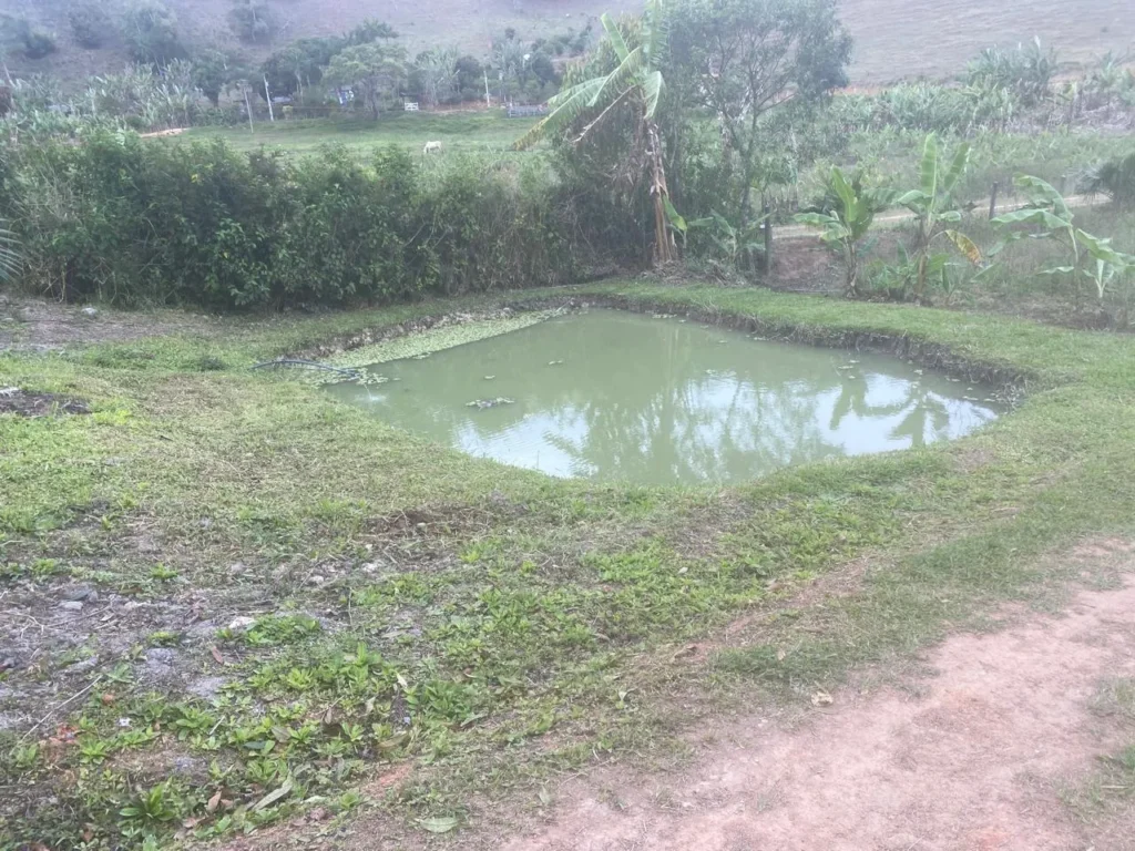 Sítio de 40.000 m² com casa nova e 2 açudes com peixes, foto 28