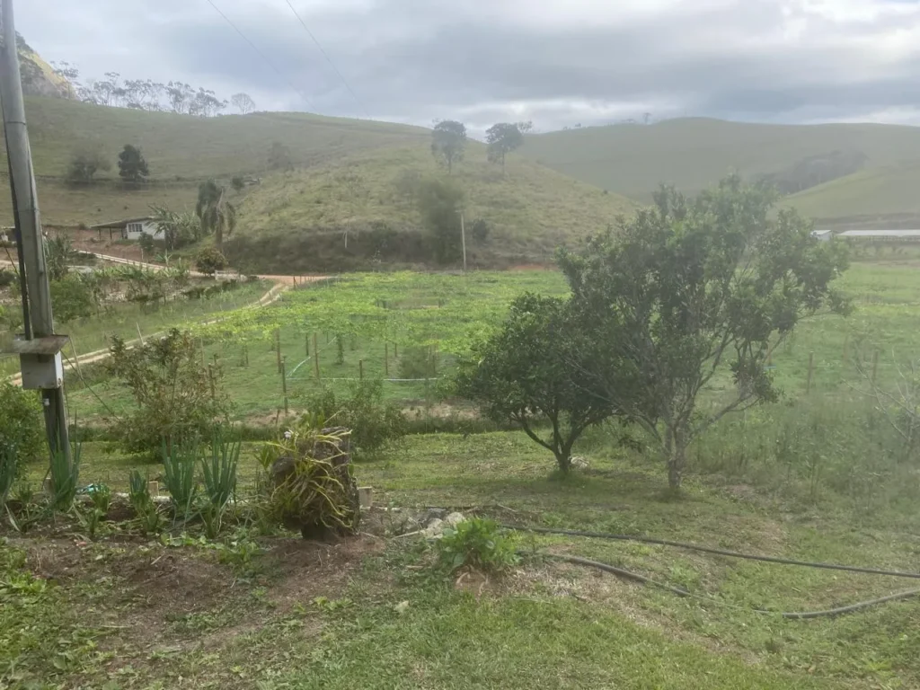 Sítio de 40.000 m² com casa nova e 2 açudes com peixes, foto 31