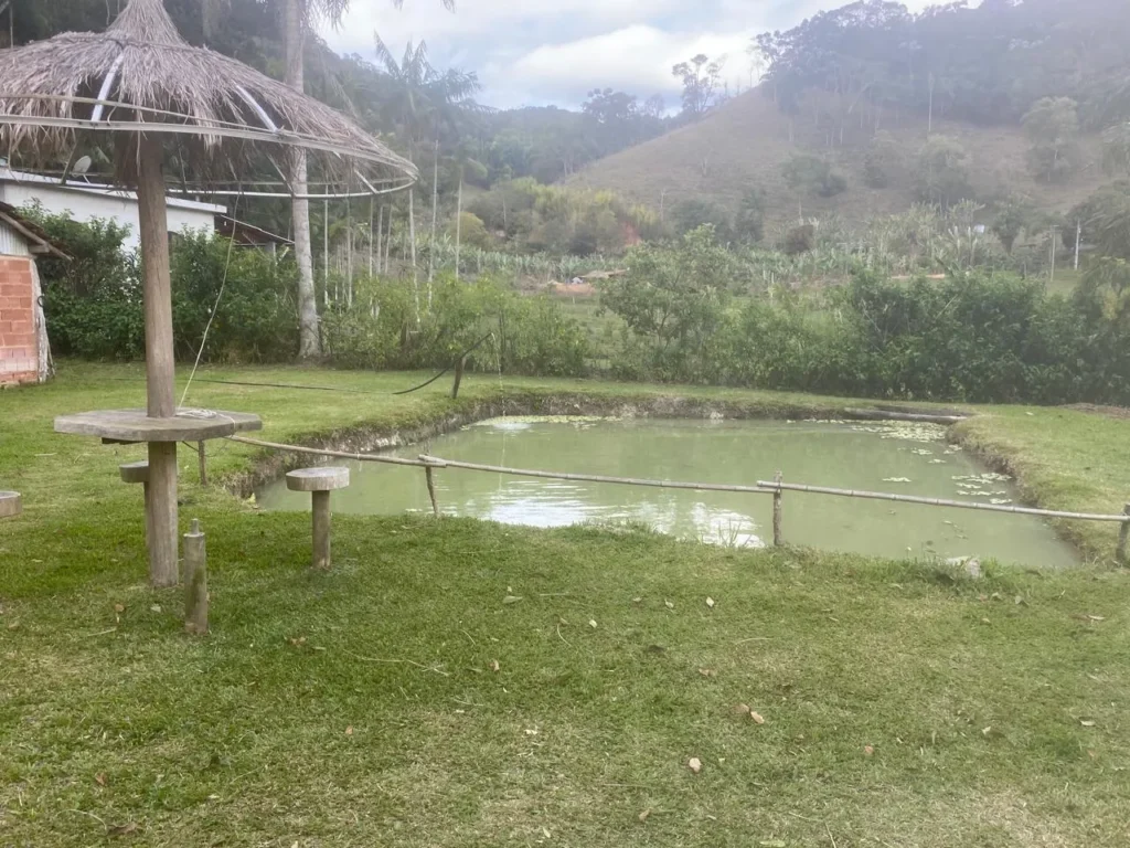 Sítio de 40.000 m² com casa nova e 2 açudes com peixes, foto 32