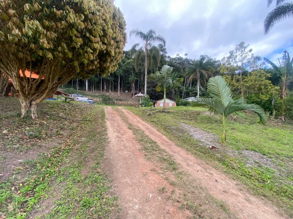 Sítio de 40.000 m² com casa nova e 2 açudes com peixes, foto 33
