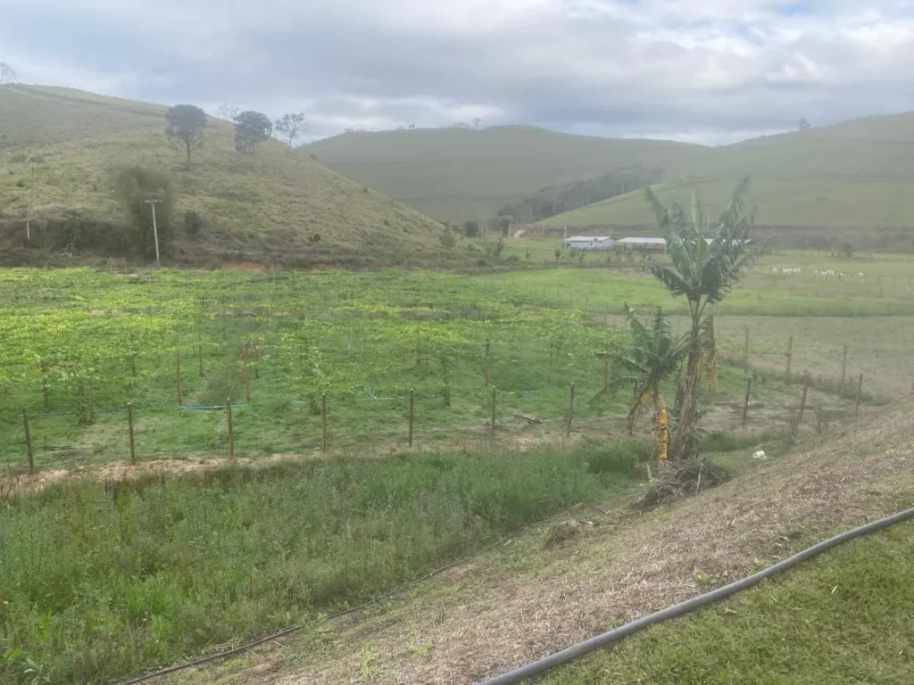 Sítio de 40.000 m² com casa nova e 2 açudes com peixes, foto 34