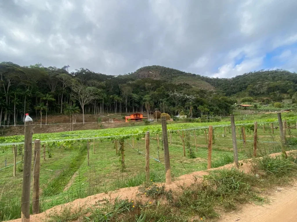 Sítio de 40.000 m² com casa nova e 2 açudes com peixes, foto 5