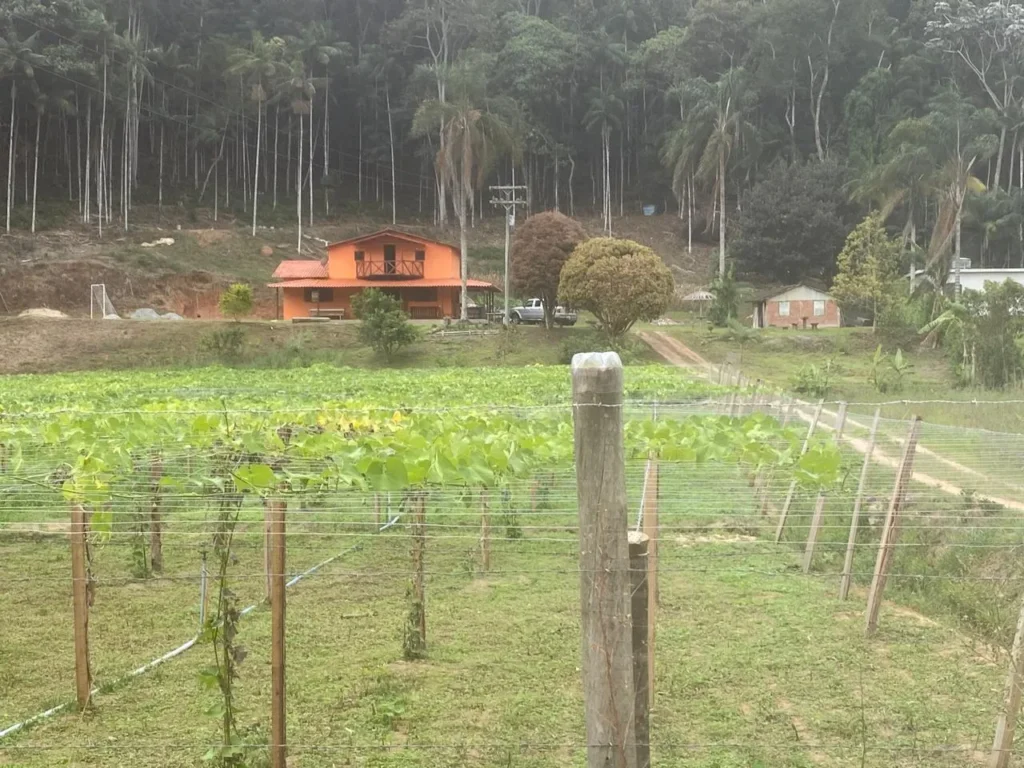Sítio de 40.000 m² com casa nova e 2 açudes com peixes, foto 7