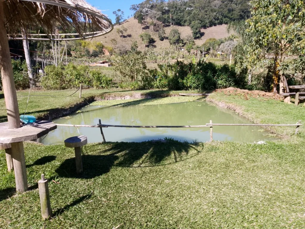 Sítio de 40.000 m² com casa nova e 2 açudes com peixes, foto 9