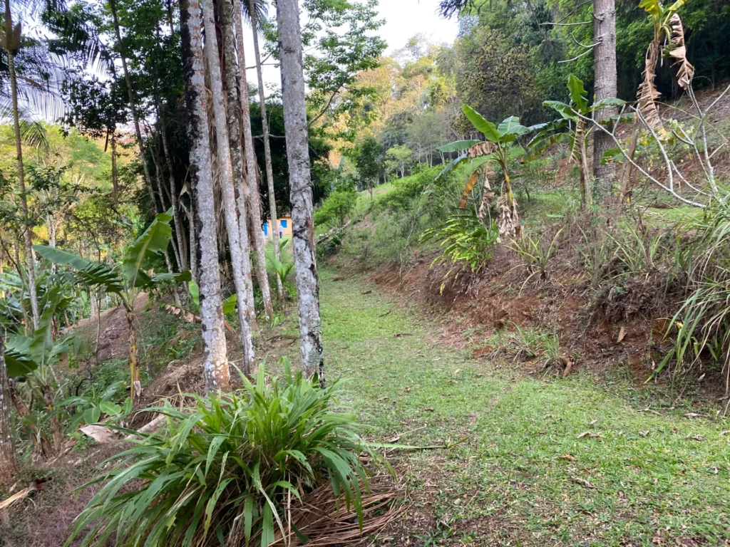 Sítio de 42.000 m² com reserva florestal, perto do centro, foto 6