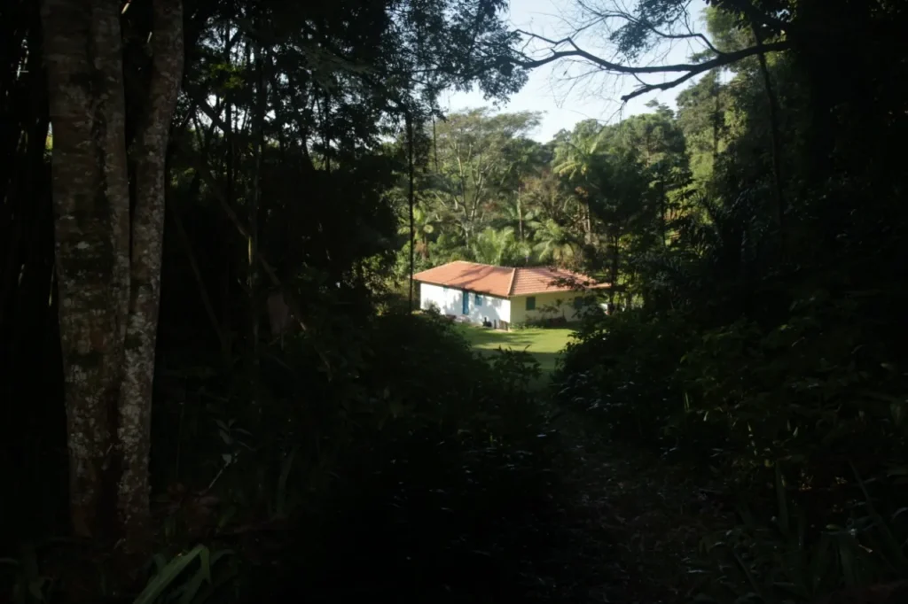Sítio de 42.000 m² com reserva florestal, perto do centro, foto 8