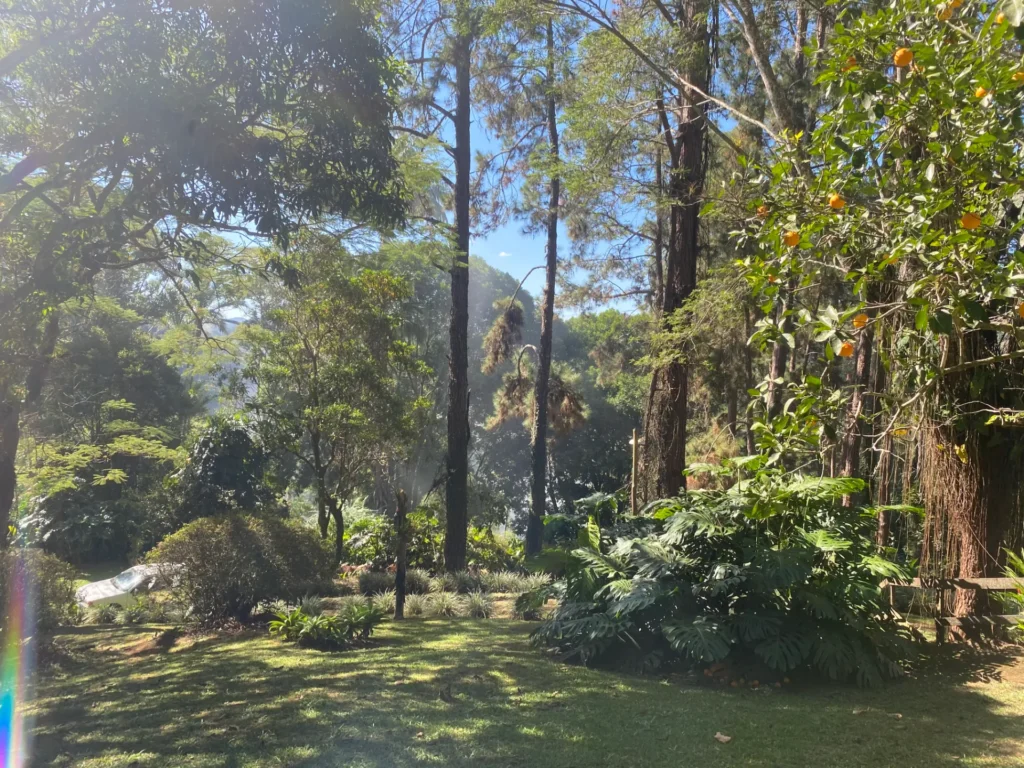 Sítio de 5,5 alqueires em Banquete com piscina, sauna e chalé, foto 18