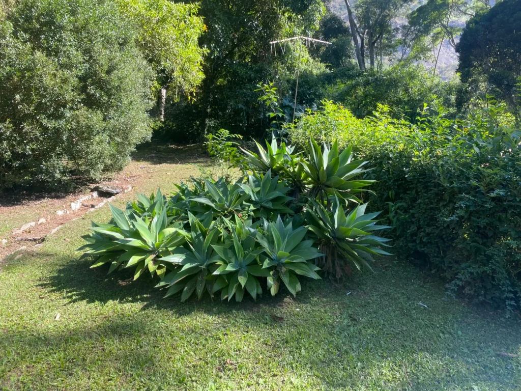 Sítio de 5,5 alqueires em Banquete com piscina, sauna e chalé, foto 25