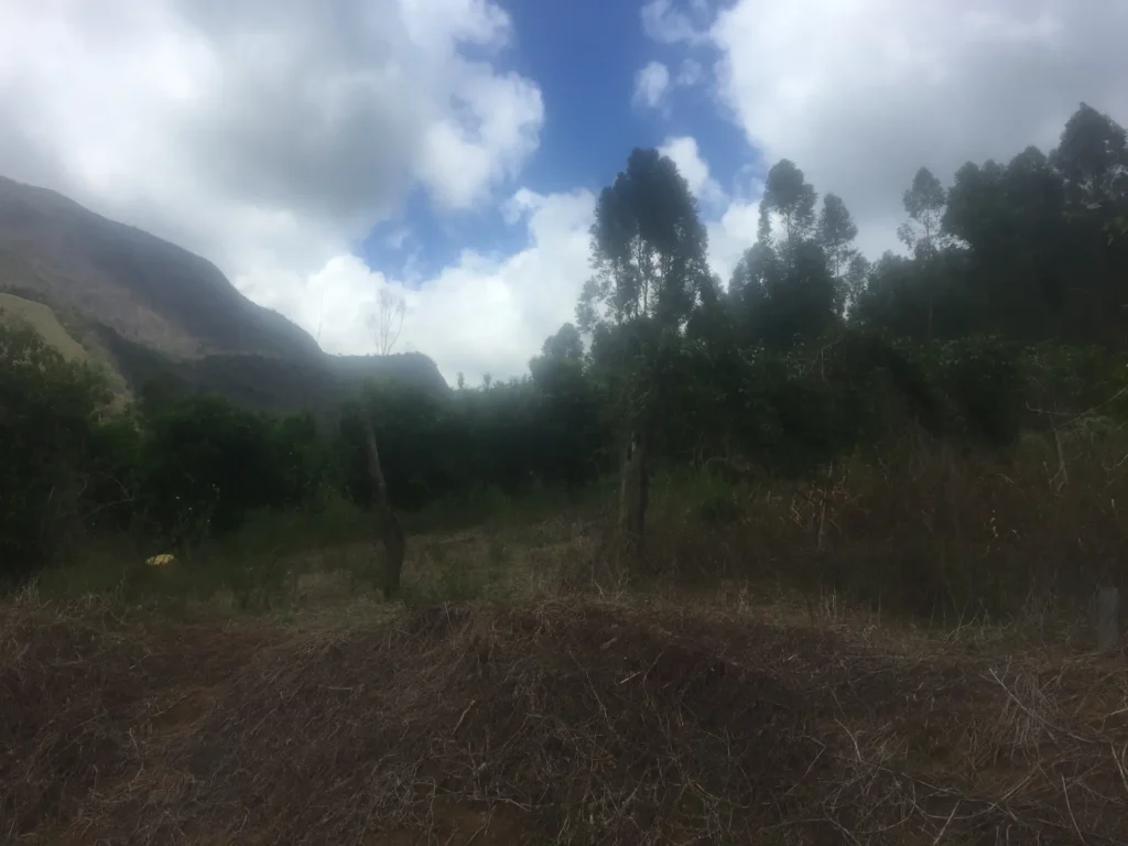 Sítio de 86.000 m² em Macabu, com bonito visual, foto 13