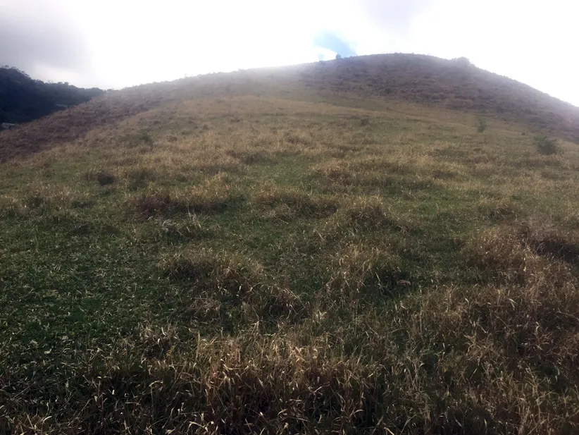 Sítio de 86.000 m² em Macabu, com bonito visual, foto 4