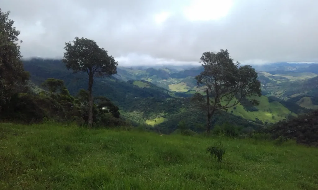 Sítio de 86.000 m² em Macabu, com bonito visual, foto 7