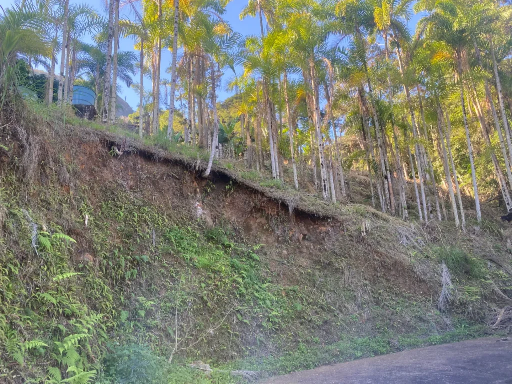 Sítio de 90.000 m² com galpão industrial e acesso asfaltado