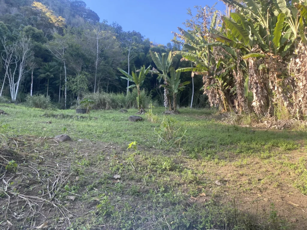 Sítio de 90.000 m² com galpão industrial e acesso asfaltado, foto 10