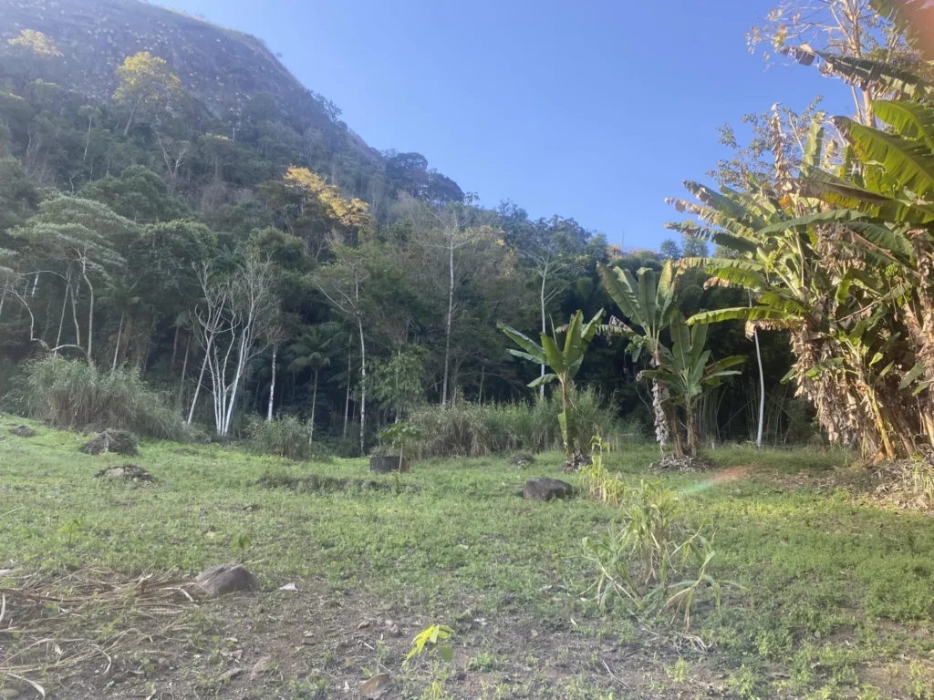 Sítio de 90.000 m² com galpão industrial e acesso asfaltado, foto 11