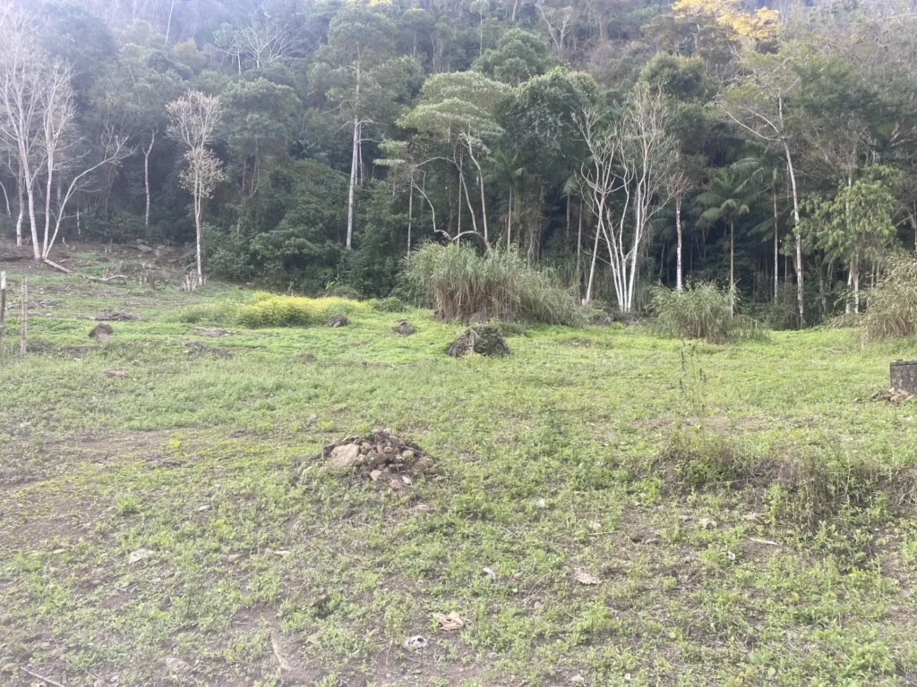 Sítio de 90.000 m² com galpão industrial e acesso asfaltado, foto 12